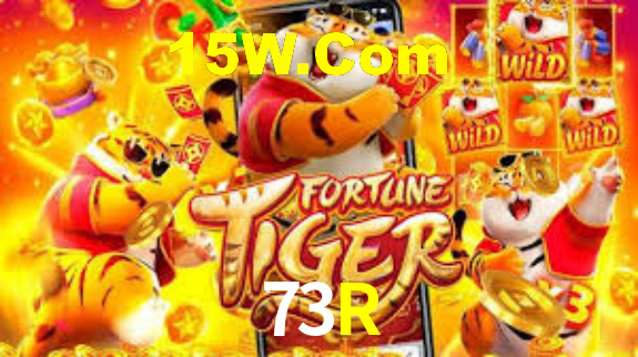 73R
